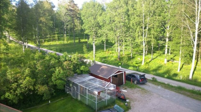 Vy över landsbygd med röd stuga, bil, växthus och björkar som grannar.