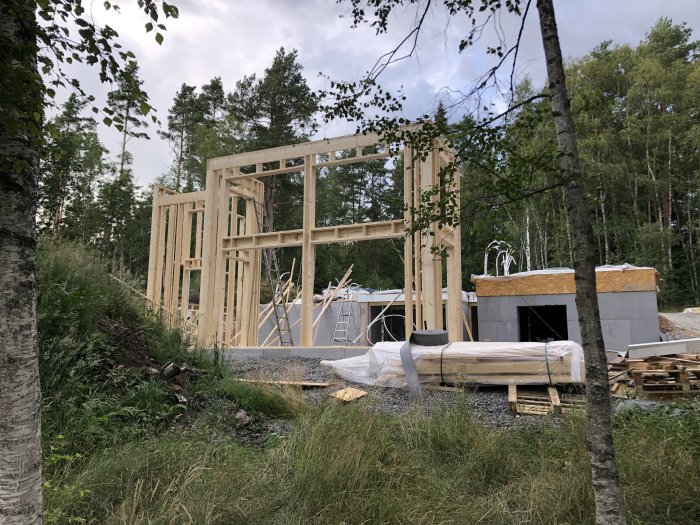Husstomme under konstruktion med stora träväggar i skogsmiljö, indikerar hög takhöjd för vardagsrum.