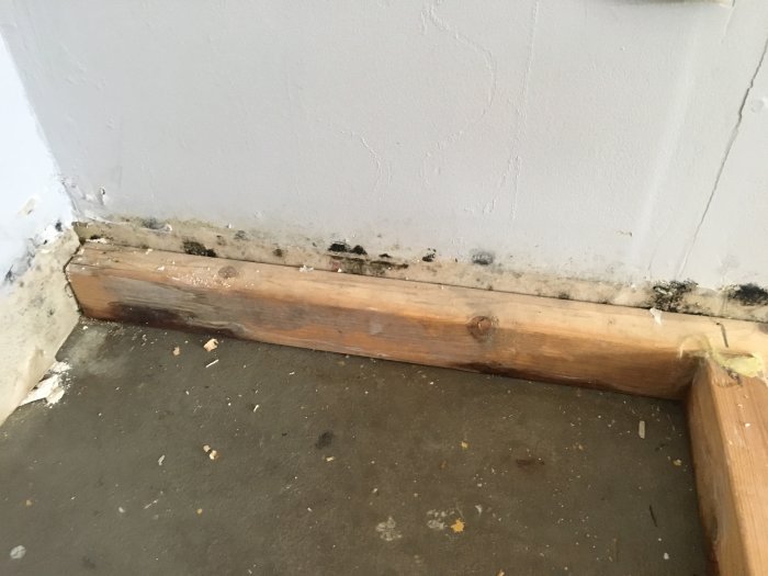 Fukt- och mögelskador vid väggens nederkant och syll i ett rum under renovering.