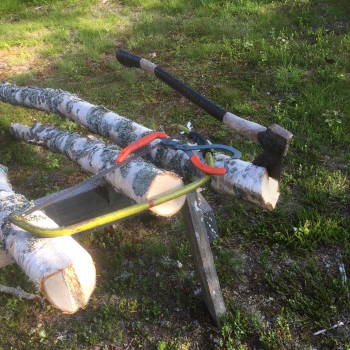 Björkved som sågas för hand med bågsåg och yxa på ett hemmagjort sågbord i skogsglänta.