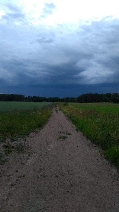 Grusväg som sträcker sig genom ett öppet fält mot mörka regnmoln på himlen.