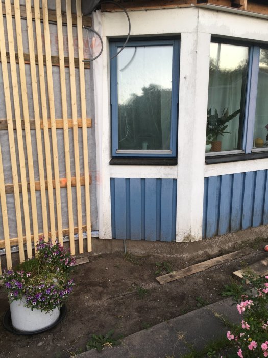 Burspråk på ett hus med påbörjat arbete, oskyddade isoleringsmaterial och träpaneler, bredvid en blommande krukväxt.