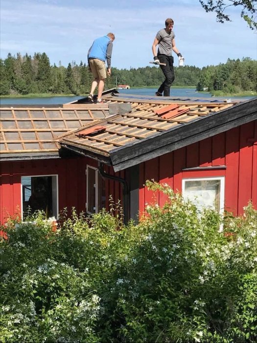 Två personer lägger nytt tak på röd sommarstuga med utbyggnad och omgivande grönska.