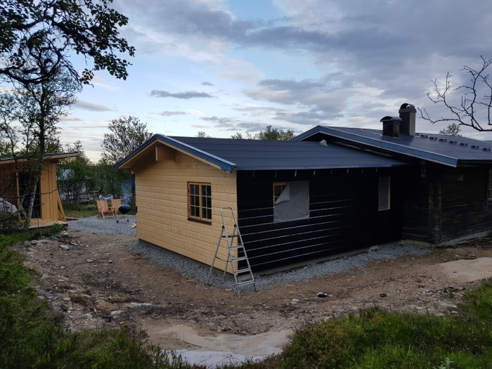 En nyligen tjärad träfasad på ett hus vid skymningen, vilket ger mörkbrun färg med synlig träådring, mot en naturlig bakgrund.