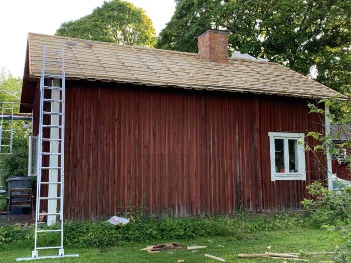 Röd stuga med nyuppsatt läkt på taket, stege lutad mot huset och byggmaterial på gräsmattan.