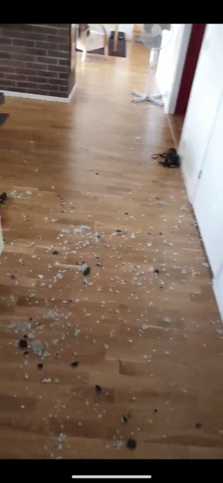 Glasbitar och skador på trägolv efter explosion i fläktkåpa.