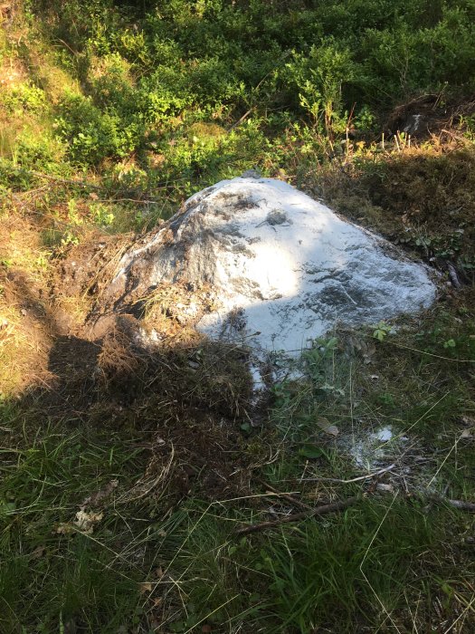 Stor stentopp som sticker upp ur marken i en skogsmiljö, delvis täckt av gräs och jord.