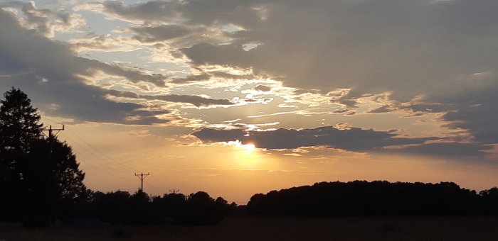 Solnedgång över landskap med silhuetter av träd och elledningar mot dramatisk molnig himmel.