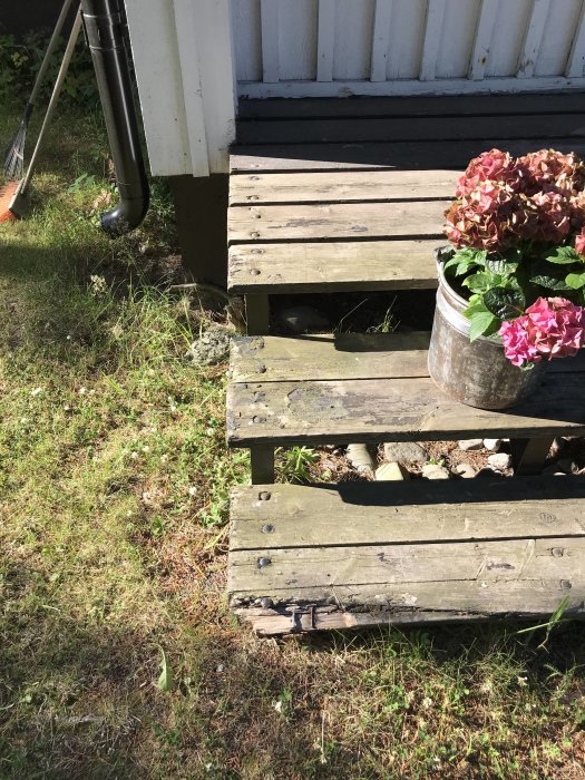 Sliten trätrappa med brutna och slitna plankor, nära ett hus och bredvid en kruka med rosa blommor.