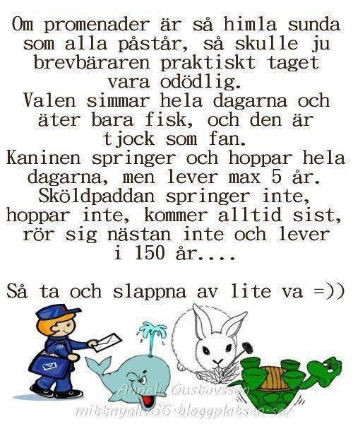 Bild på en humoristisk text med illustrationer av en postman, en val, en kanin och en sköldpadda som representerar textens budskap.