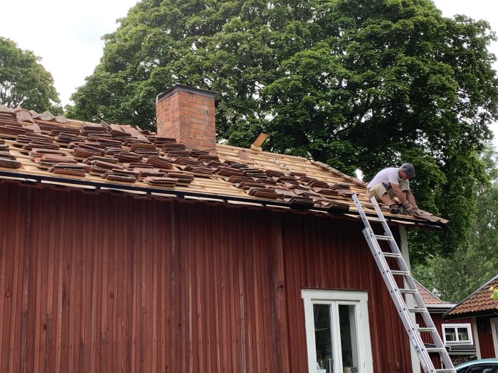 Person som lägger tegelpannor på taket till ett rött hus, stege till höger och skorsten i bakgrund.