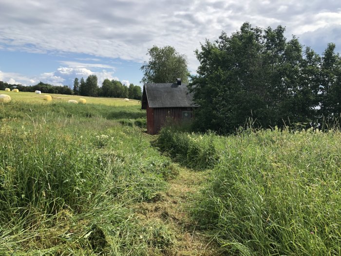 Stig genom högt gräs som leder till en liten röd stuga med omgivande natur och rullbalar i bakgrunden.
