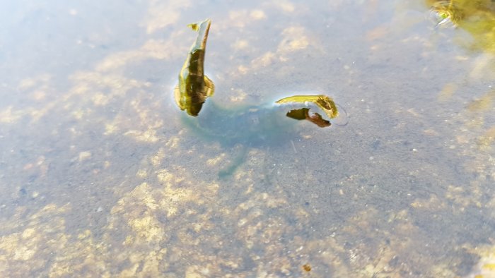 20190724_155604.jpg