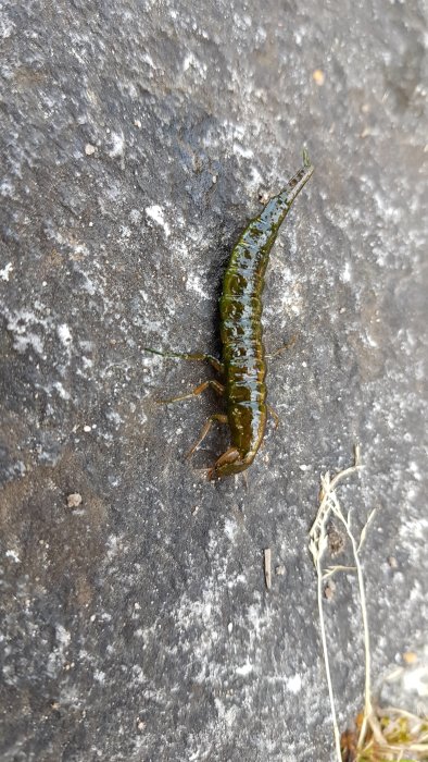20190724_155515.jpg