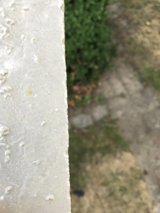 Närbild av ett ojämnt skuret kakel med fransiga kanter och rester av sågspån, mot en suddig bakgrund av gräsmatta och häck.