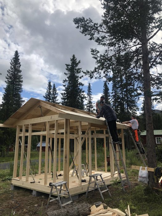 Två personer bygger ett träförråd i en skogsglänta, stommen nästan färdig och panel påbörjad.