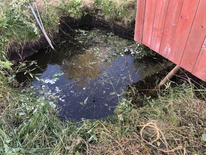 Grävd grop fylld med vatten bredvid en röd byggnad, omgiven av gräs och en slang.
