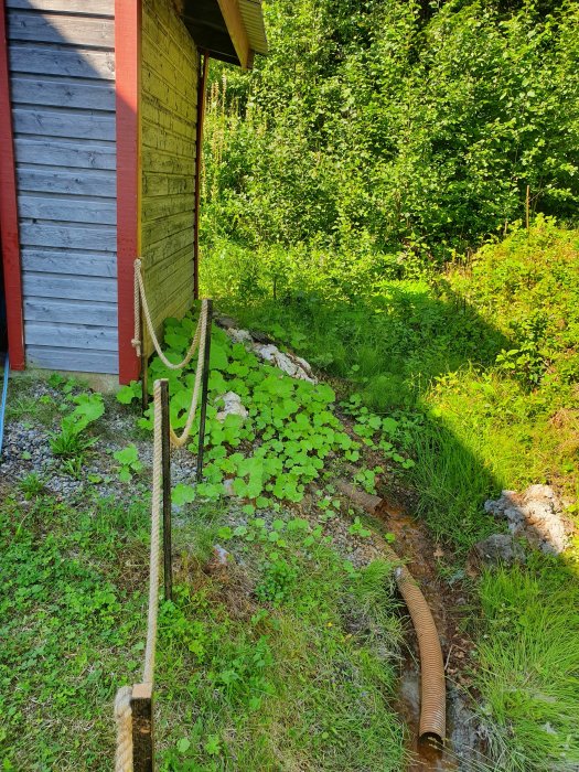 Ett grävt dike med stillestående vatten och blålera vid ett hus, omgivet av grönska.