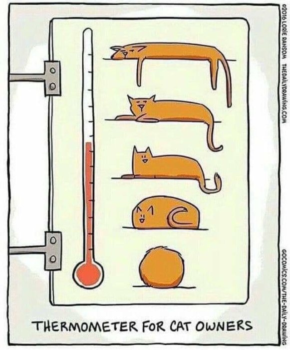 Skämtsam illustration av en termometer med katter i olika positioner som temperaturindikatorer.