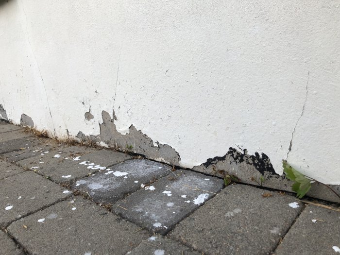 Vit målad grund av ett suterränghus med många små sprickor och flagande färg.
