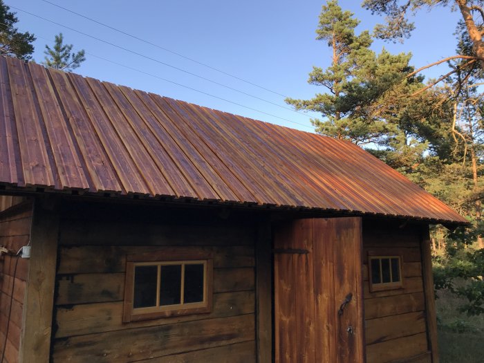 Nyrenoverat rött tak på en traditionell trästuga med natur i bakgrunden.