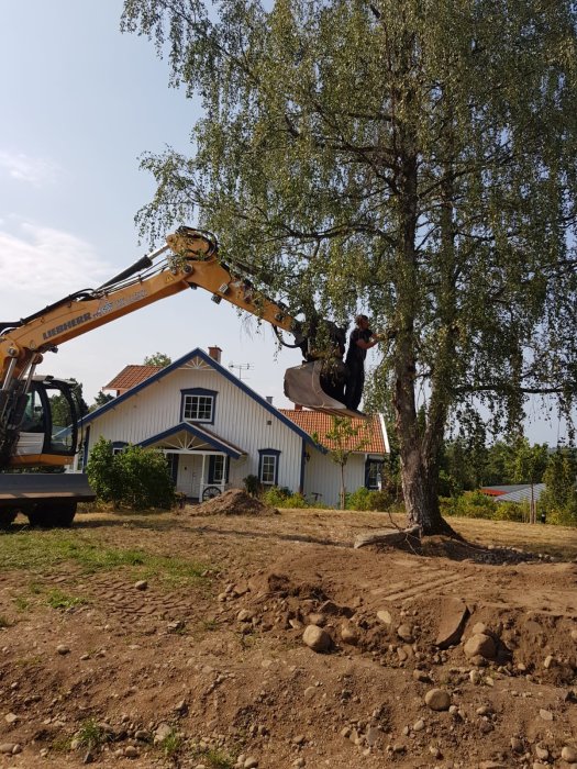 Grävmaskin bortför döda grenar vid ett hus med nylevererad matjord i förgrunden.