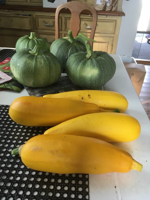 Gröna och gula squashar på ett köksbord, nyskördade.