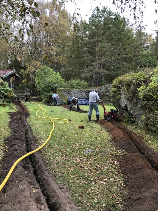 Personer som arbetar i en trädgård med att gräva en lång gräv för antagligen kabel- eller rördragning.