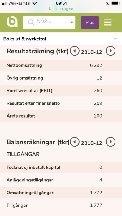 Skärmdump av ett företags resultat- och balansräkning med nyckeltal från en ekonomisida.