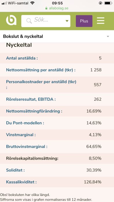 Skärmdump av nyckeltal från ett aktiebolag som visar vinstmarginalen på 4,13% och EBITDA på 262 tusen.