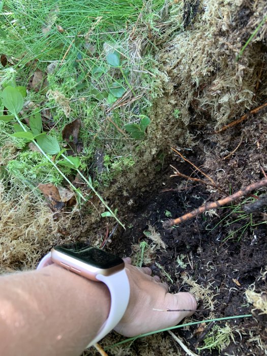 En fot i gummistövel på fuktig mark med mossa och gräs, i skogsmiljö.