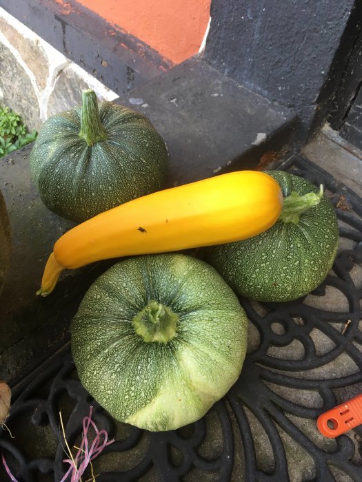 Två gröna squash och en gul zucchini på en gjutjärnsunderlägg vid en trappa.