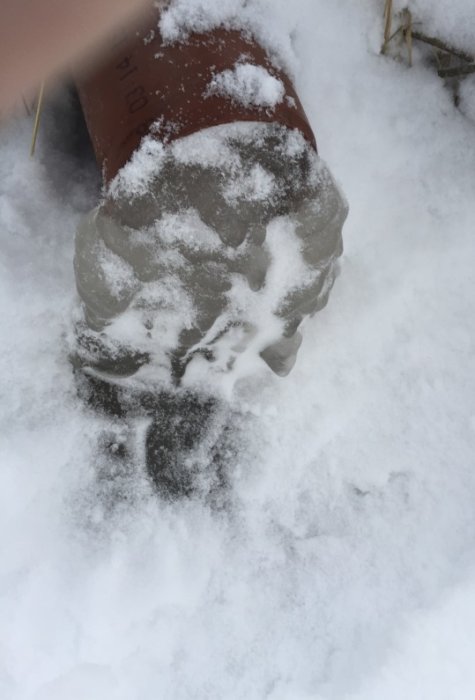 Ett brunaktigt plaströr täckt med snö och is som visar symptomen på att ha frusit igen vid utloppet.