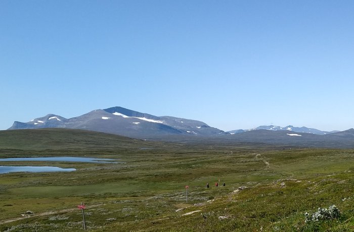 Vandrare på en stig i fjällterräng med blå himmel och snöfläckar på berg i bakgrunden.