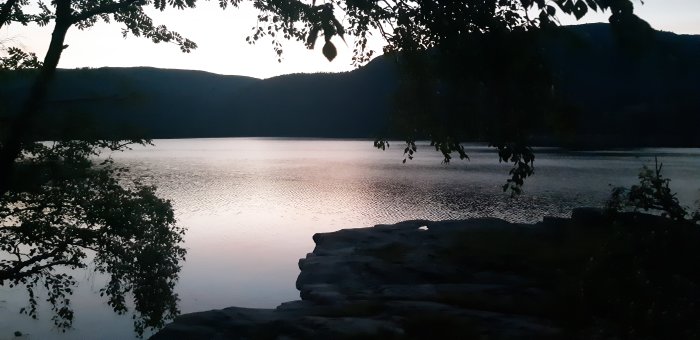 Skymningsvy över stilla vatten med trädgrenar i silhuett i Trondheim/Fosen, Norge.