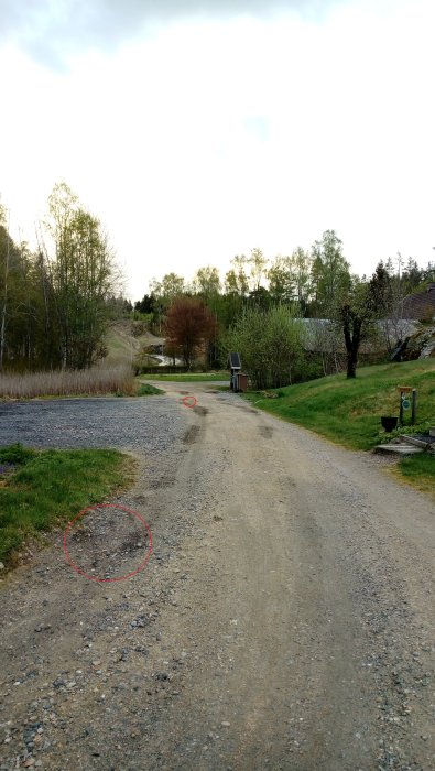 Grusväg med synliga rivmärken markerade i rött, omgivet av träd och gräsmark.