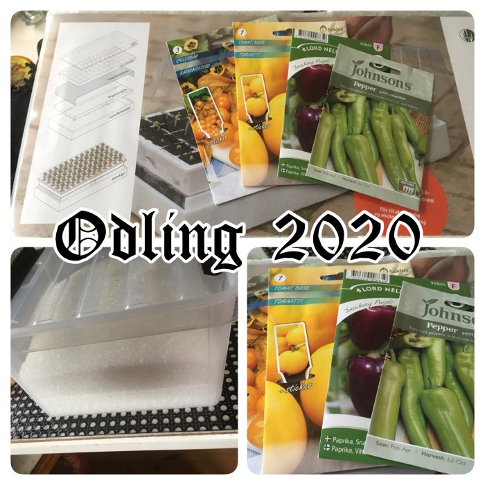 Odlingstillbehör och fröpåsar för tomater och paprika inför plantering med texten "Odling 2020".