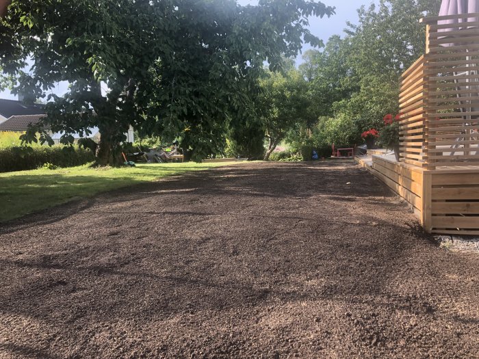 Nyharvad matjord på baksidan av ett hus redo för grässådd med blommande växter och träd i bakgrunden.