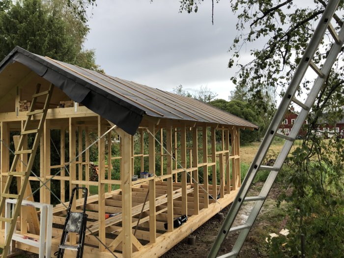 Pågående byggnation av trästomme till hus med blöt takpapp efter regn och en stege i förgrunden.