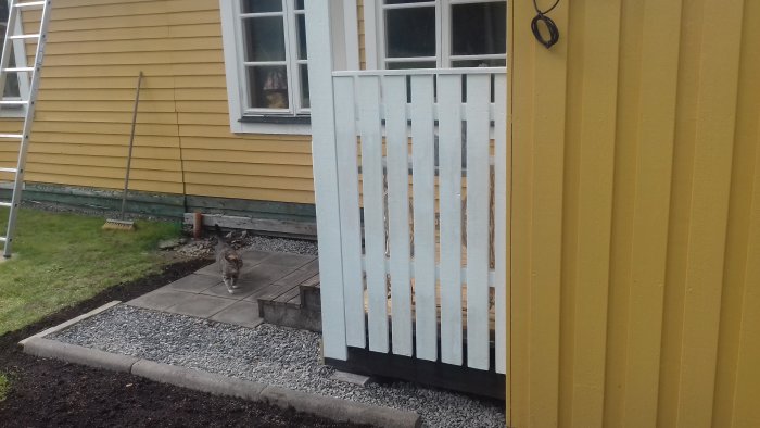 Nytt hemmagjort trästaket bredvid gult hus med en katt som inspekterar arbetet.