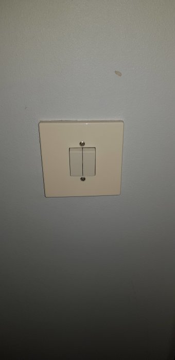 Takuttag och dubbelbrytare på vägg, troligen avsedd för kristallkrona eller flera lampor.