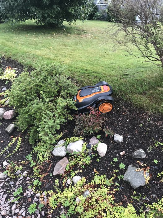 Robotgräsklippare parkerad i en rabatt bland buskar och stenar.