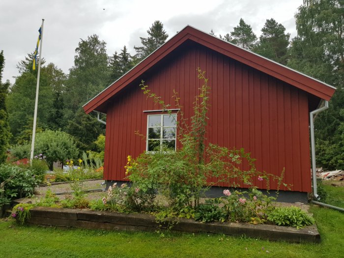 Rött trähus med vita fönster och en svensk flagga, omgivet av en blomstrande trädgård och höga gröna vildskott.