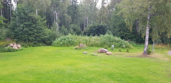 En grönskande trädgård med en kulle med stenar och växtlighet som döljer ett avloppssystem.
