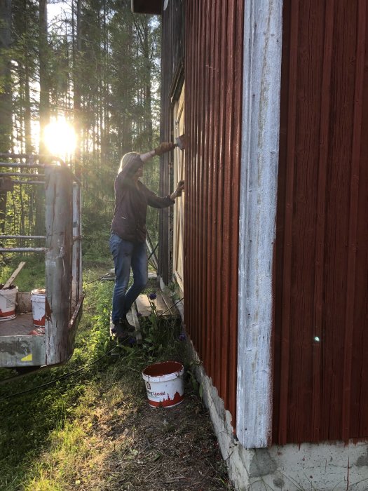 Person målar en husvägg i faluröd vid skymning, hink och pensel synliga, natur i bakgrunden.