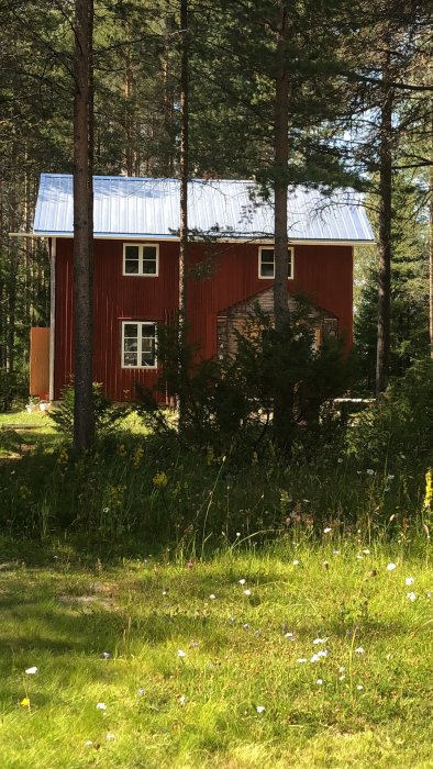 Rödmålad stuga med vita fönster och plåttak i skogsmiljö.
