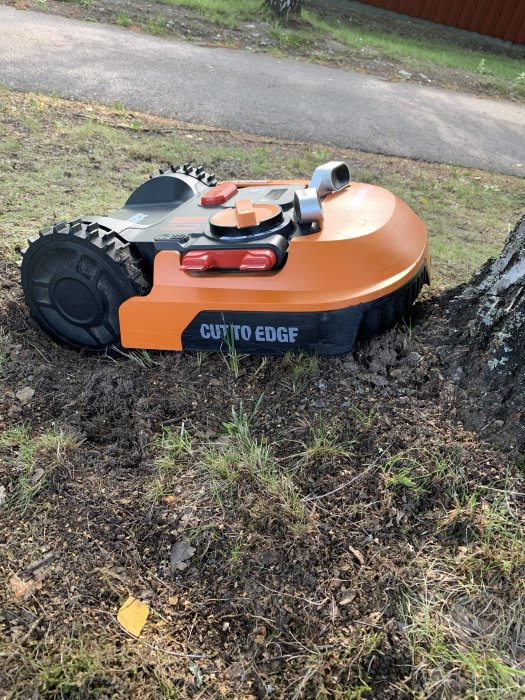 Robotgräsklippare M1000 fastnat vid en björkrot på gräsmatta.