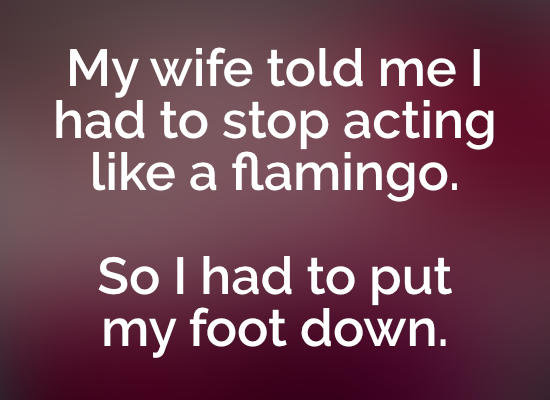Humoristisk text om att sluta bete sig som en flamingo på en vinröd bakgrund.
