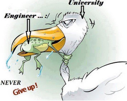 Illustration av en pelikan som håller i en groda som kväver den, med texten "Engineer", "University" och "NEVER Give up!".