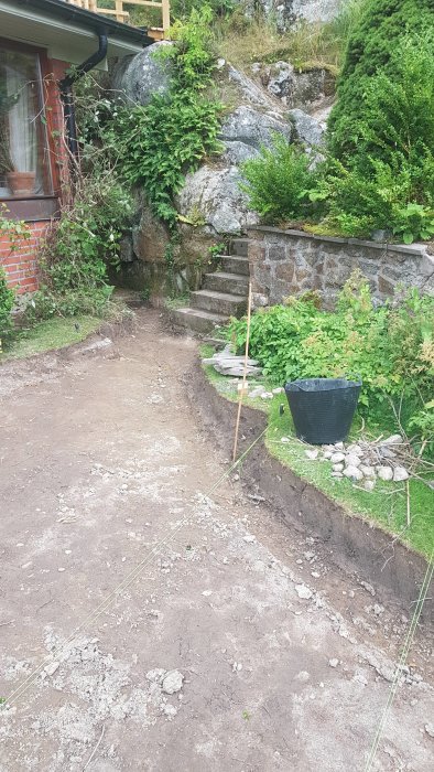 20190815_164621[1].jpg